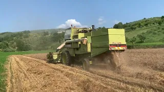 Fortschritt E514 | Classic combine harvester |wheat harvest 2023
