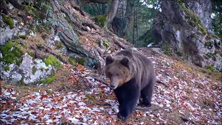 Jeseň medzi skalami 2021 (Fotopasca Veľká Fatra)