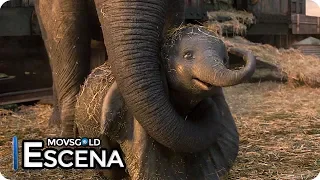 Dumbo (2019) El Nacimiento de Dumbo (Español Latino)