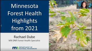 Dube: MN DNR Forest Health Update for 2022