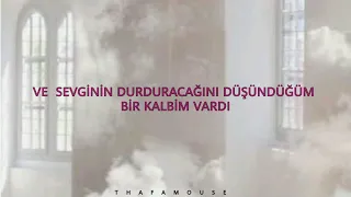 Sia I Had A Heart (Türkçe çeviri)