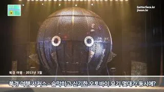 북경 오토바이 서커스 - 원통속에 몇대나?