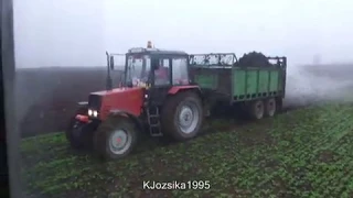 Trágyaszórás Mtz 820.4 + Fortschritt T088, John Deere 6330 + Fortschritt; Mtz 82.1