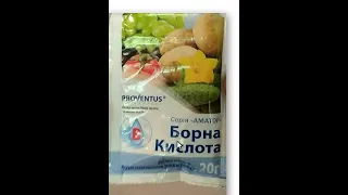 Борная кислота на винограднике.