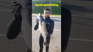 welcome to Ayoub #fishing #morocco #المغرب  #pesca #spearfishing #viral  #shortsvideo #pesca #pesca
