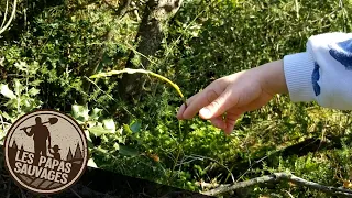 La cueillette des asperges sauvages