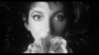 Kate Bush - Sensual World