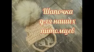 Шапочка для наших питомцев