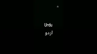 Urdu | Shayari Status