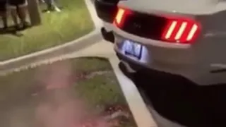 Mustang revs burns grass on fire 🔥