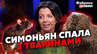 ⚡️Гордон спалил ПОЗОРНОЕ ПРОШЛОЕ СИМОНЬЯН! Боброедка готова НА ВСЕ, чтобы этот ужас не повторить