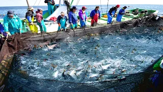 A Way For Fishermen To Catch Tuna Using Big Nets At Sea - Caught Hundred Tons Fish On The Boat #02