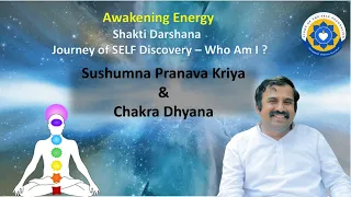 D1.8. Sushumna Pranava kriya & Chakra Dhyana  #rajayoga #selfenquiry #vicharamarg #advaita