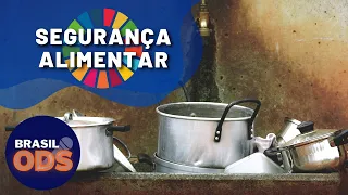 Brasil ODS | Segurança Alimentar