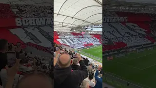 21 Jahre Ultras „Schwabensturm“ Choreo beim VfB Stuttgart!