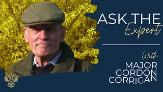 Ask The Expert: In Conversation with Major Gordon Corrigan MBE