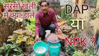 सरसों खली मे क्या डालें DAP या NPK ? कौनसा बेहेतर ?  DAP or NPK  to use in Mustard Cake fertilizer