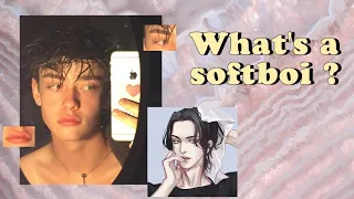 ✩ softboy aesthetic ✩ 𝐟𝐢𝐧𝐝 𝐲𝐨𝐮𝐫 𝐚𝐞𝐬𝐭𝐡𝐞𝐭𝐢𝐜💫