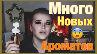 11 НОВЫХ АРОМАТОВ / ПЕРВОЕ ВПЕЧАТЛЕНИЕ