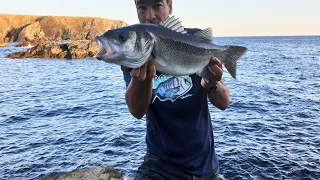 Pêche du BAR au leurre de surface et au jerkbait : une soirée d'enfer !!!