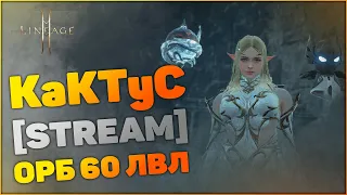 [Lineage 2M] Орб 60 лвл KaKTyC