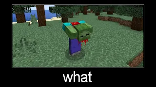 Minecraft wait what meme part 85 (headless zombie)