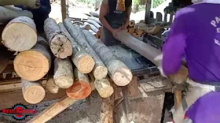 FASTEST SAWMILL IN THE EAST