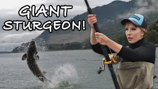 My Biggest Fish So Far - Sturgeon Fishing in Fraser River! #fishing #sturgeonfishing #sturgeon