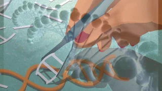 [Incontro #TempodiLibri ] L’era dell’editing del genoma #CRISPR 1 di 4