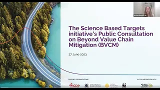 Beyond Value Chain Mitigation Public Consultation