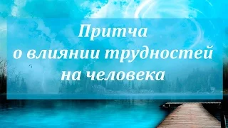 Притча о влиянии трудностей на человека