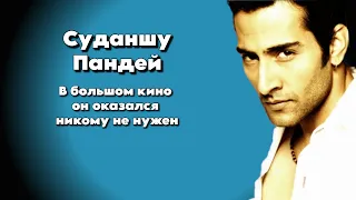 Суданшу Пандей - Взлеты и падение