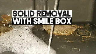 Solid Removal with Smile Box | Aquaculture Technology