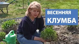 КЛУМБА ИЗ САМЫХ КРАСИВЫХ И НЕПРИХОТЛИВЫХ МНОГОЛЕТНИКОВ. Гибискус, гайлардия, газания, ирисы