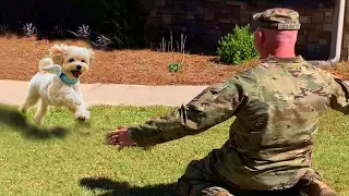 Animals Reunited With Their Owners After Years!