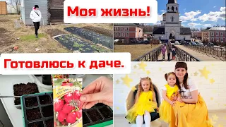 Чем живу?/ Подготовка к дачному сезону/ Посадка семян/ Рассада/ Вербное Воскресенье