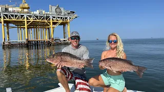 World Record Size Mangrove Snappers Off an Oil Rig! (Catch Clean & Cook)