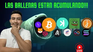 PREPARATE ANTES DE LA GRAN EXPLOSION-CRYPTOS CON ALTO POTENCIAL