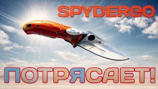 Spyderco и их лучший нож 2024 года