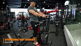 Standing Hip Thrust (Maxpump) | TNT Fitness Pro