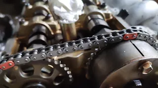 2zz timing chain