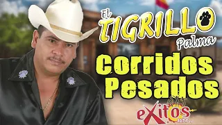 El Tigrillo Palma - Corridos Pesados Mix ( 30 Mejores Exitos )