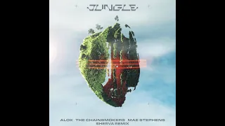 ALOK & The Chainsmokers ft. Mae Stephens - Jungle (Sherva Remix)