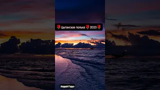 Цыганская полька🌹2023🌹