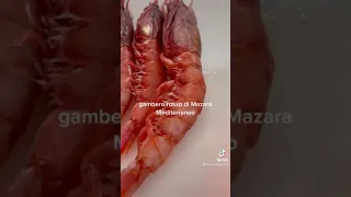 gambero rosso di Mazara di vallo fish pesce shrimp