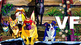 NOUS LES CHIENS Bande Annonce VF (2020)