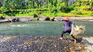 SHOCKED, ONE HOUR OF FISHING NET ON THIS RIVER CAN GET THIS MUCH.‼️Amazing fishing video