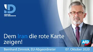 Dem Iran die rote Karte zeigen! - Bernhard Zimniok (AfD)