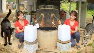 How to distill wine from wild coconut tree trunks - Wine of the Dao people | Nhất My Bushcraft