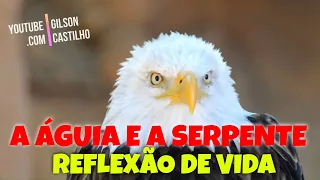 A Águia e a Serpente / Uma Linda Reflexão de Vida